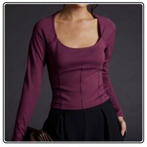 Anthropologie Maeve Ponte Corset Top Size Large